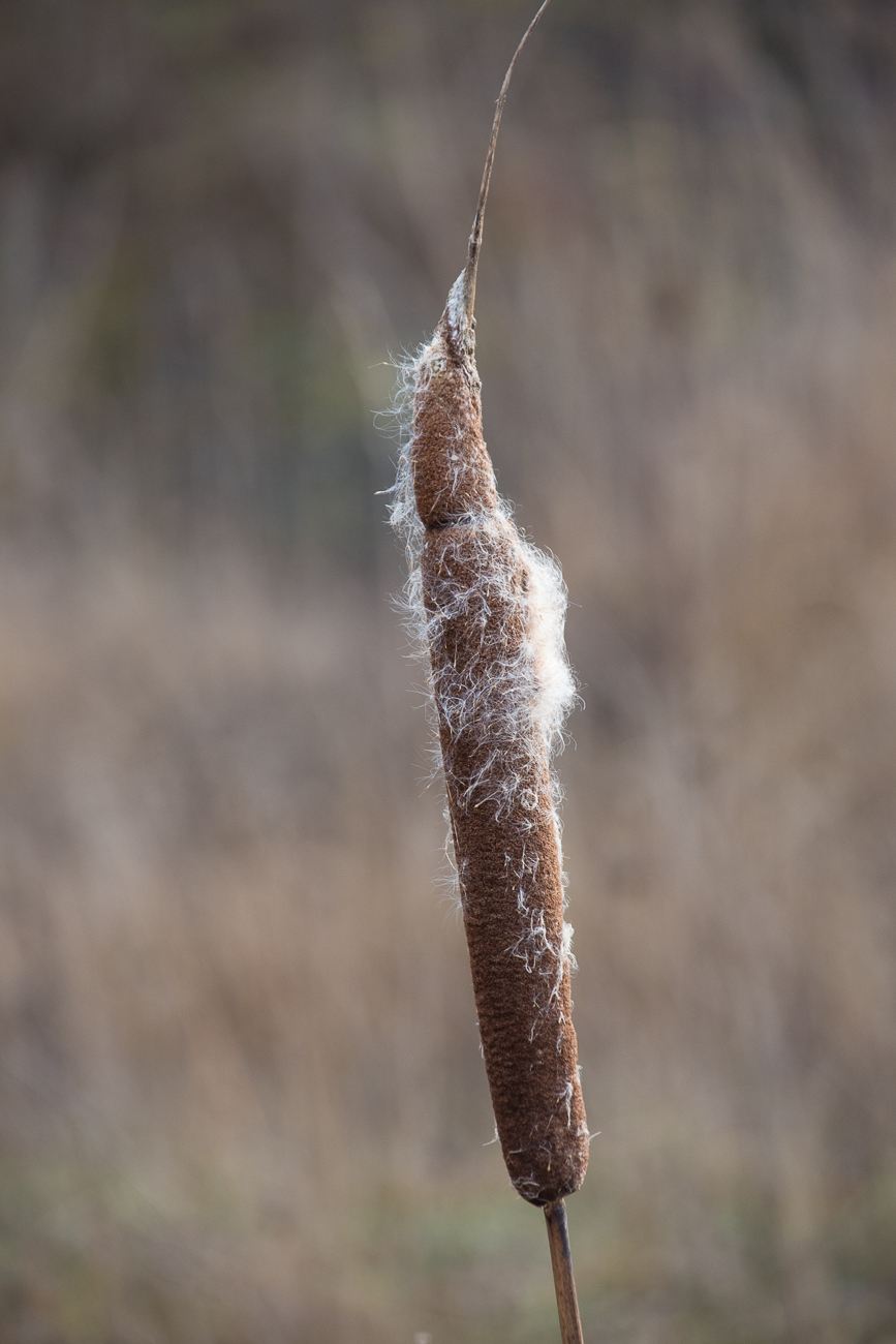 Wieder an den Wasserg&auml;rten zur&uuml;ck
