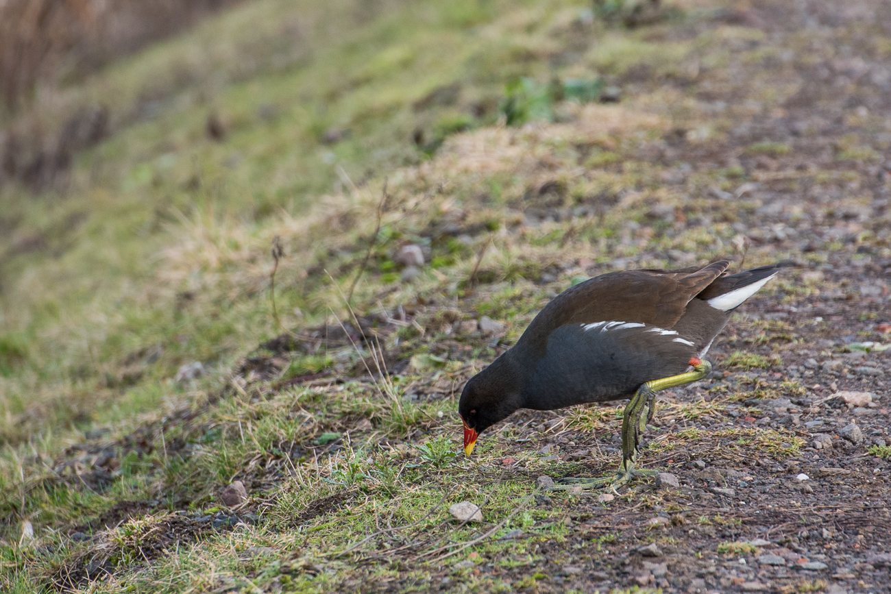 ... denen es hier gut gef&auml;llt