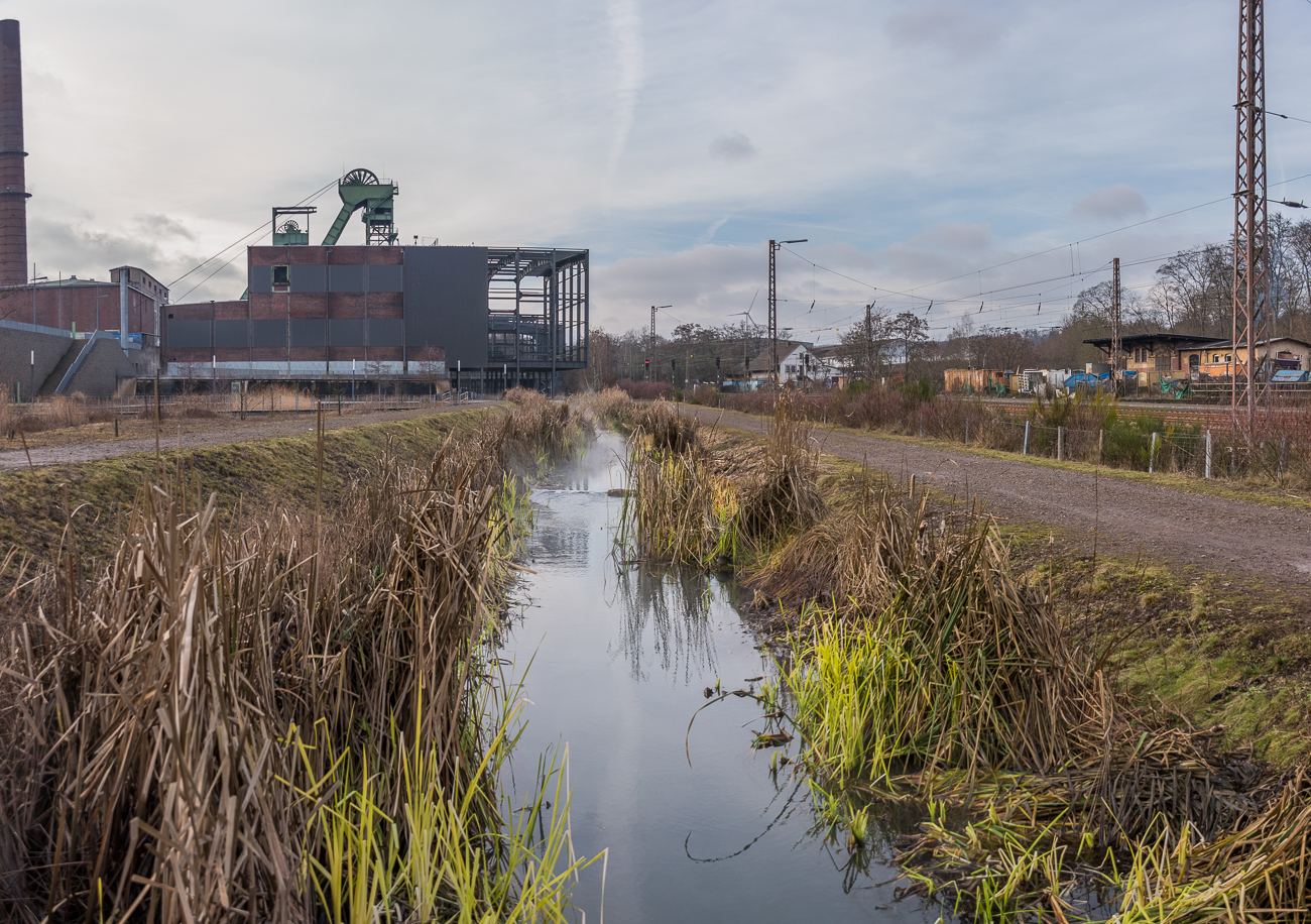 Blick &uuml;ber den Wassergarten zur Grube Reden