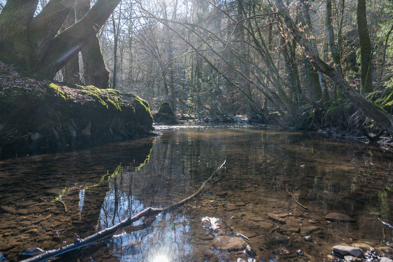 Die Sonne spiegelt sich im Wasser