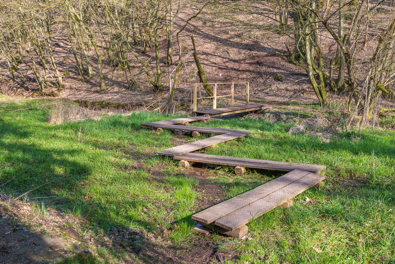 Bohlenweg &uuml;ber den Sumpf