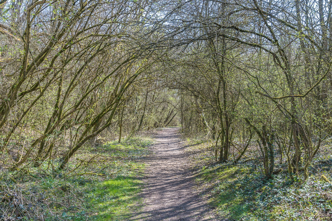 Nat&uuml;rliche Arkade