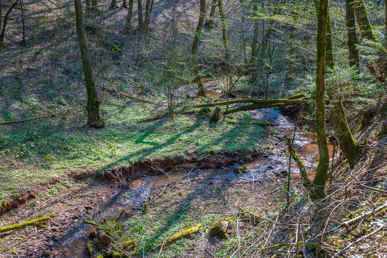 M&auml;andernder Bach