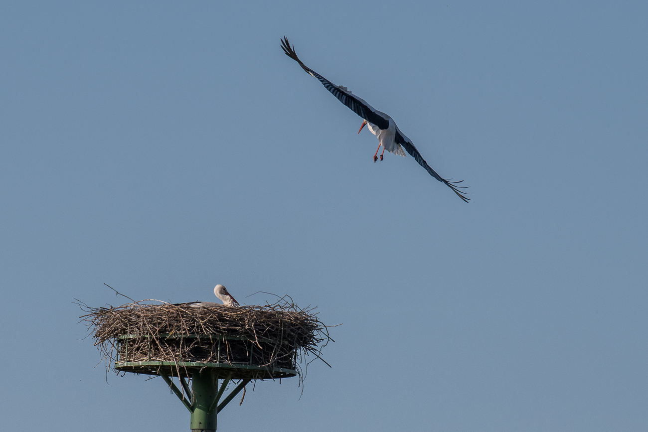 Ein imposanter Anblick