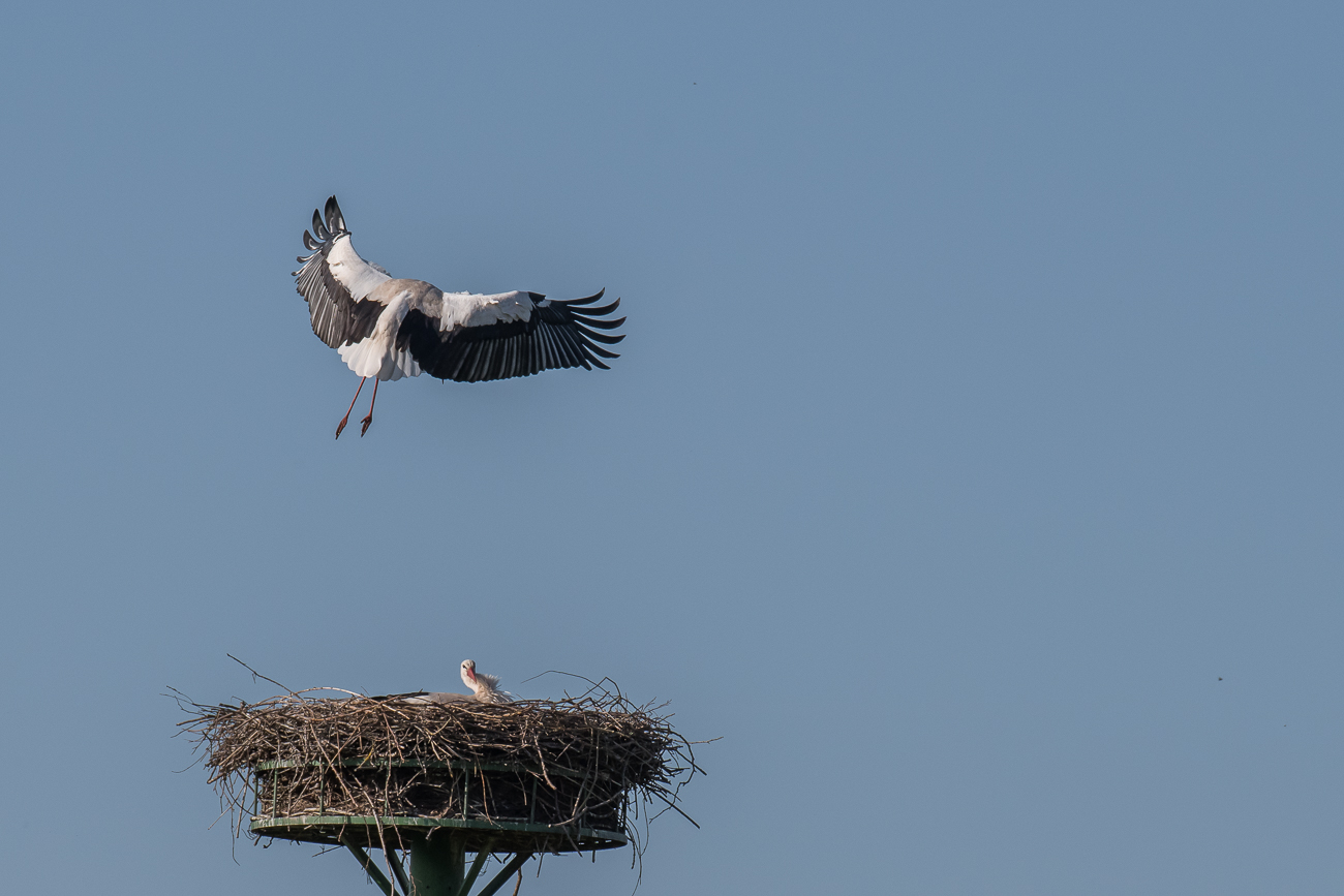Noch einige kleine ...