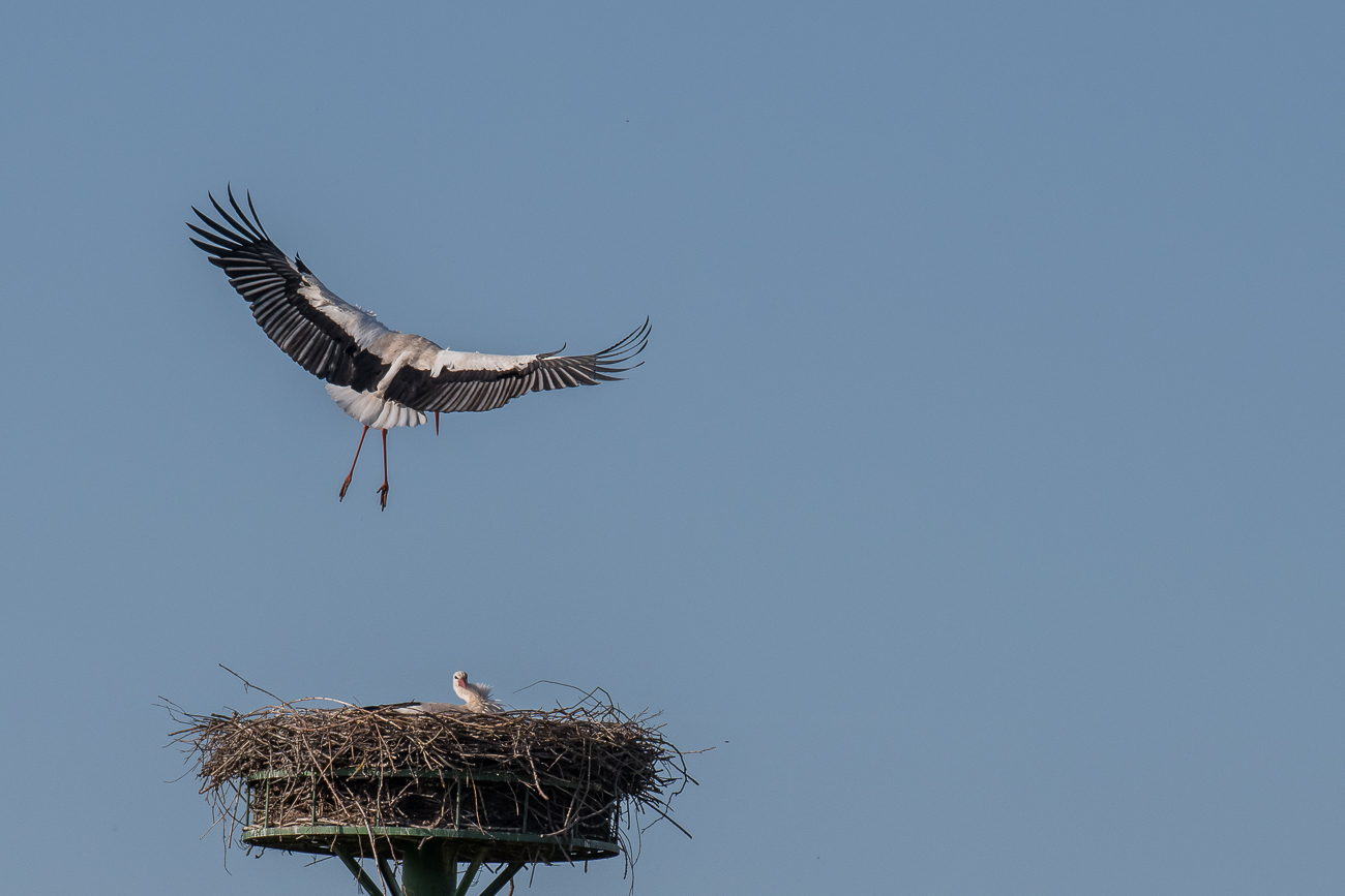 ... Korrekturen vor der Landung