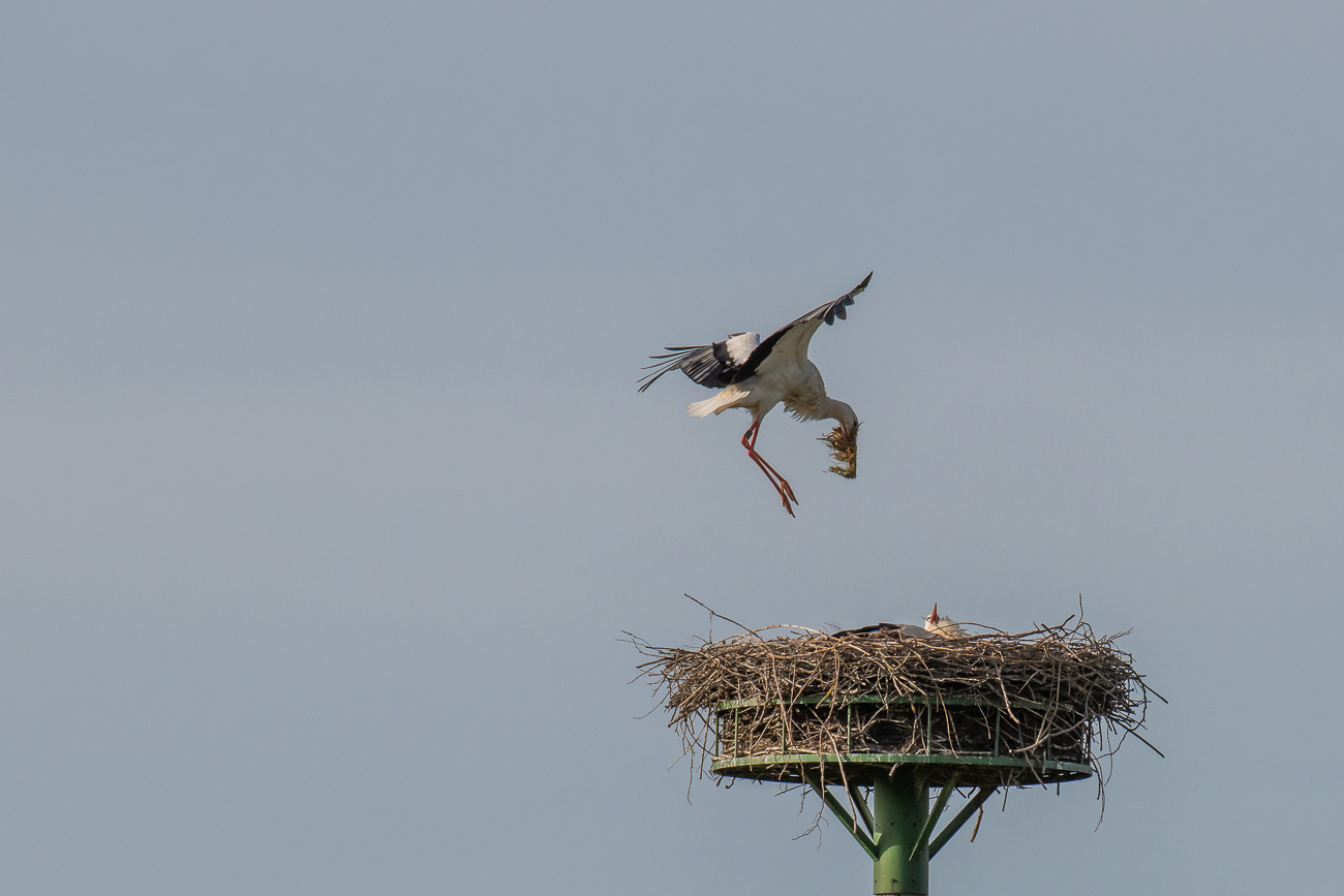 Kurz vor der Landung