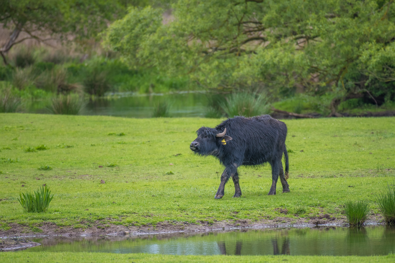 Ich geh mal zu den anderen ...