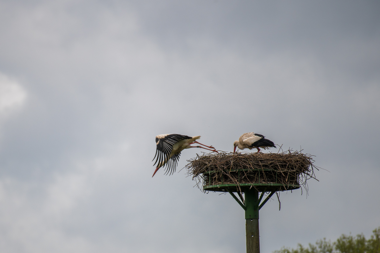 ... abstossen und ...