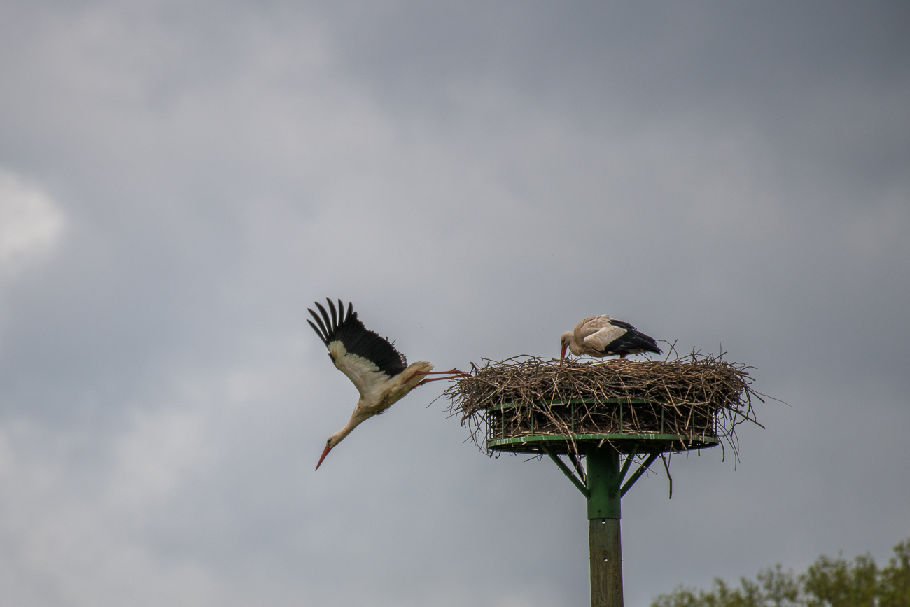 ... huuuiiii, ab geht die Post