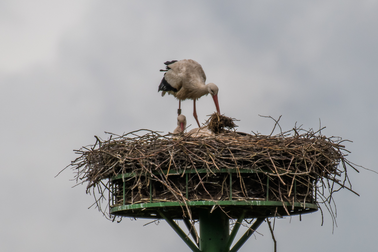 ... einen Platz f&uuml;r die Polsterung finden