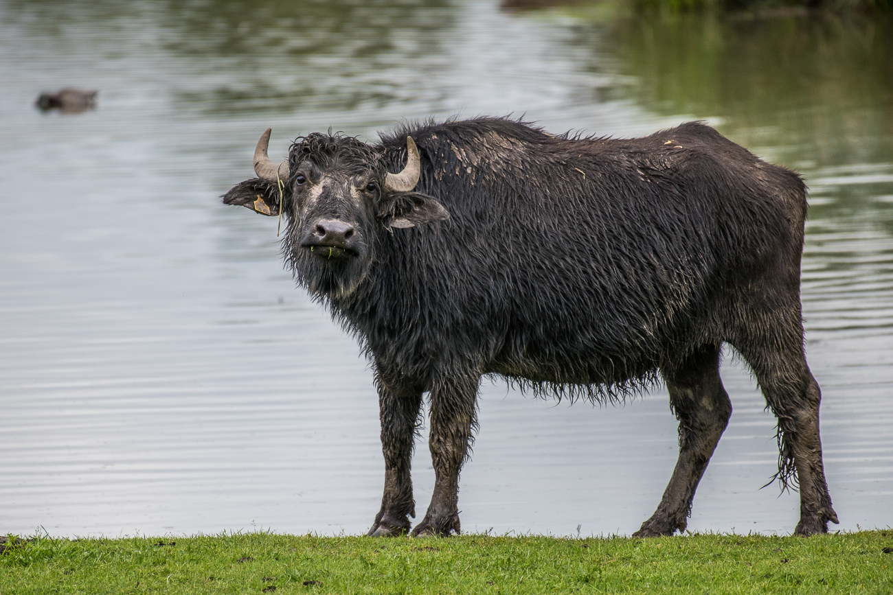 Schon wieder der Kerl mit dem Fotoapparat ;-)