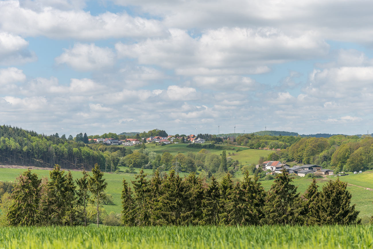 Theley und B&auml;rhof