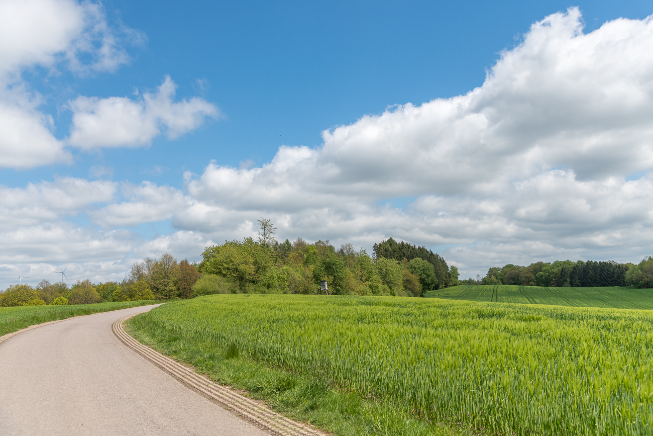 Stra&szlig;e zur Ausgrabungsst&auml;tte