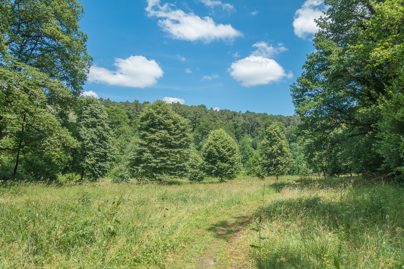 Auf den (wenigen) sonnigen Wegen, ist es ziemlich hei&szlig;