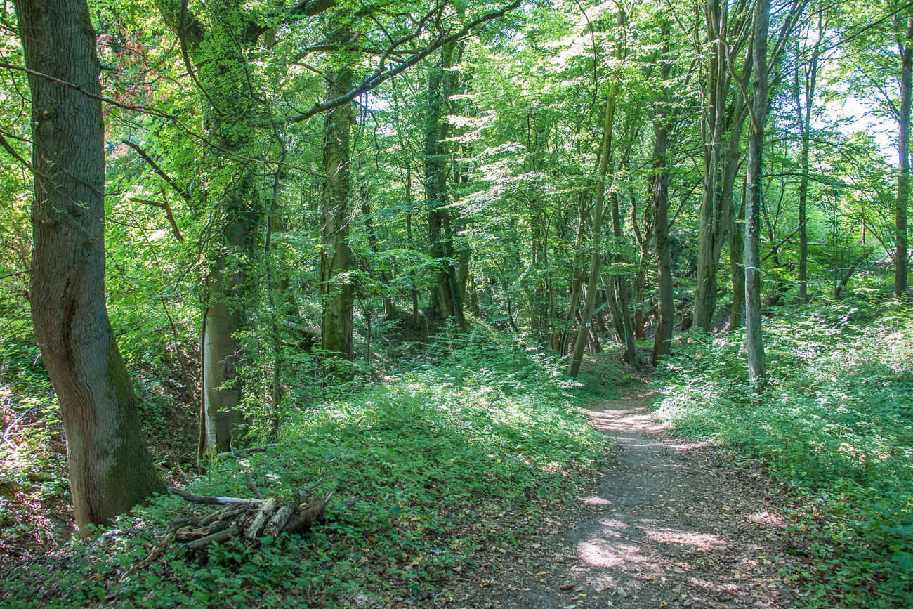 Auf dem Weg zur Fl&uuml;rchesklamm