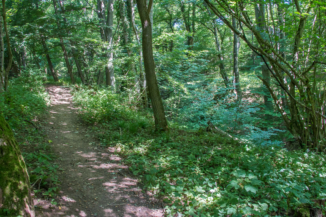 An der Fl&uuml;rchesklamm