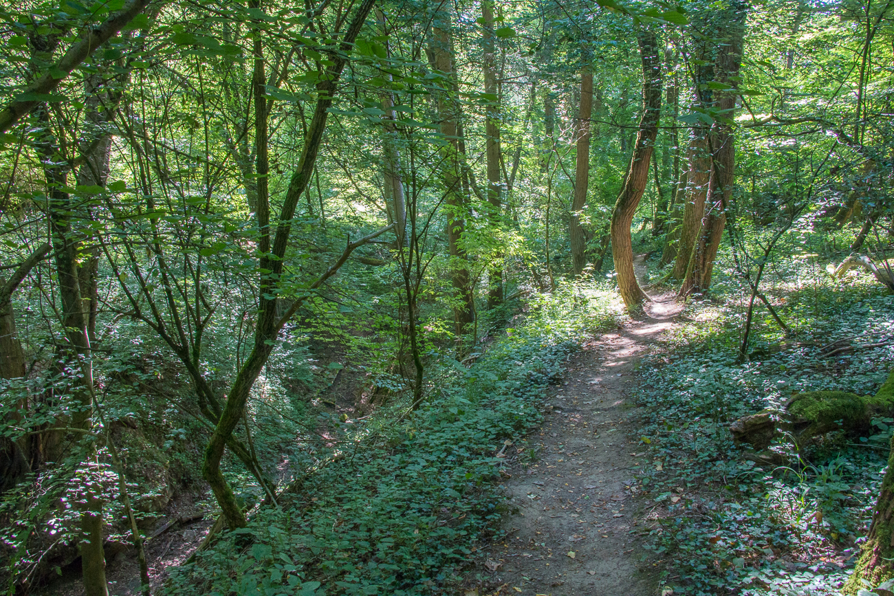 An der Fl&uuml;rchesklamm