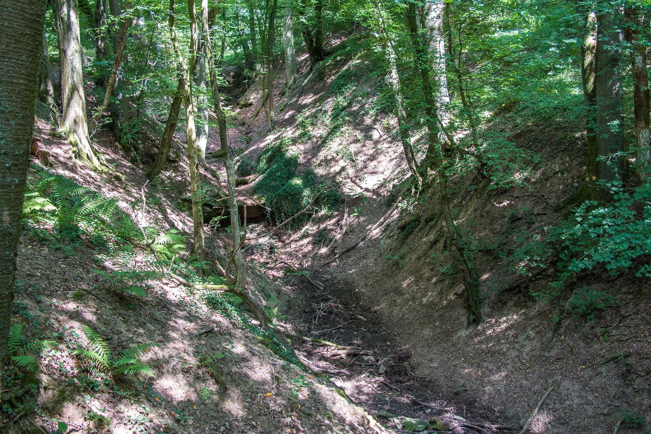 ... zur Lauterbachsklamm