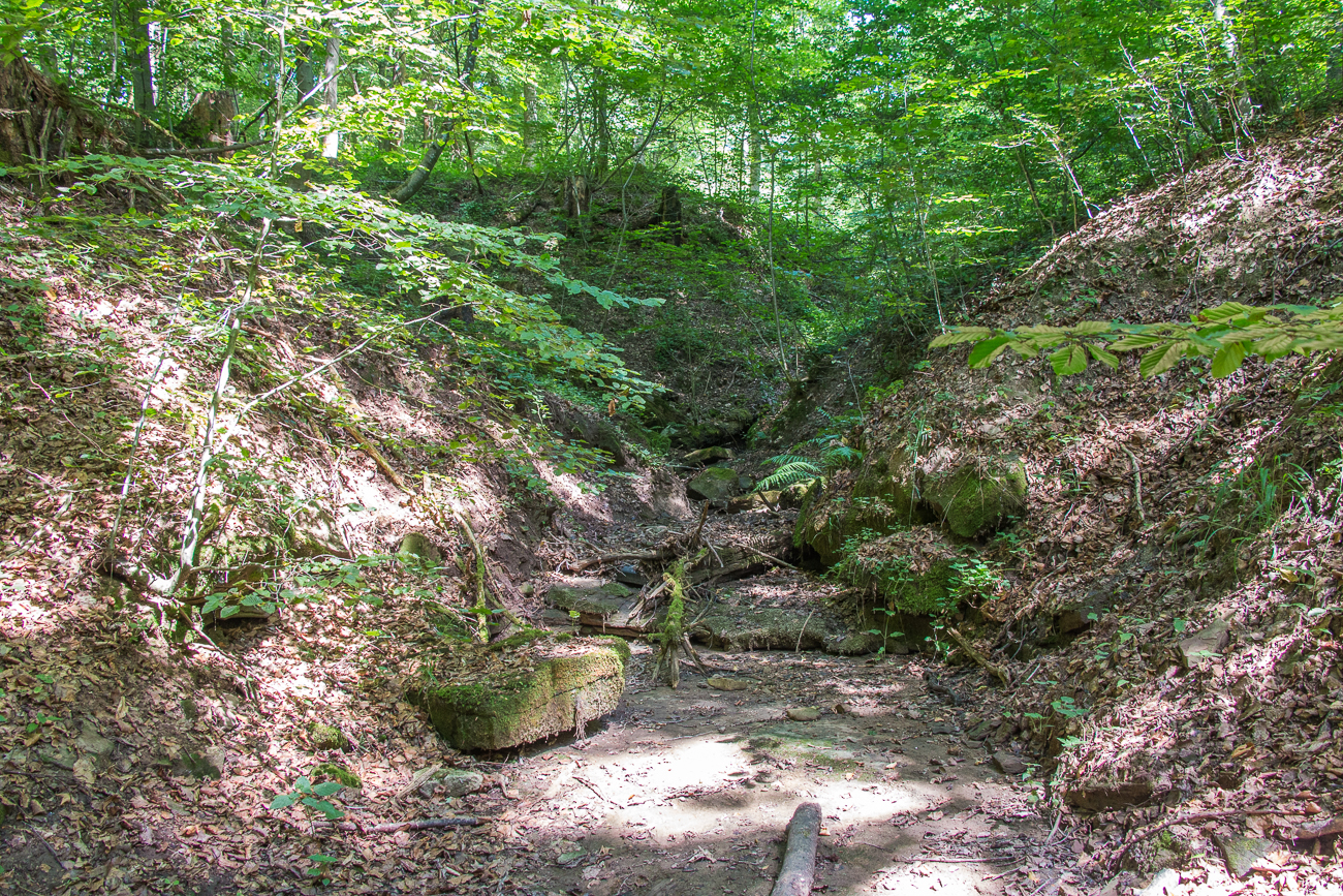 ... zur Dalheimer Klamm