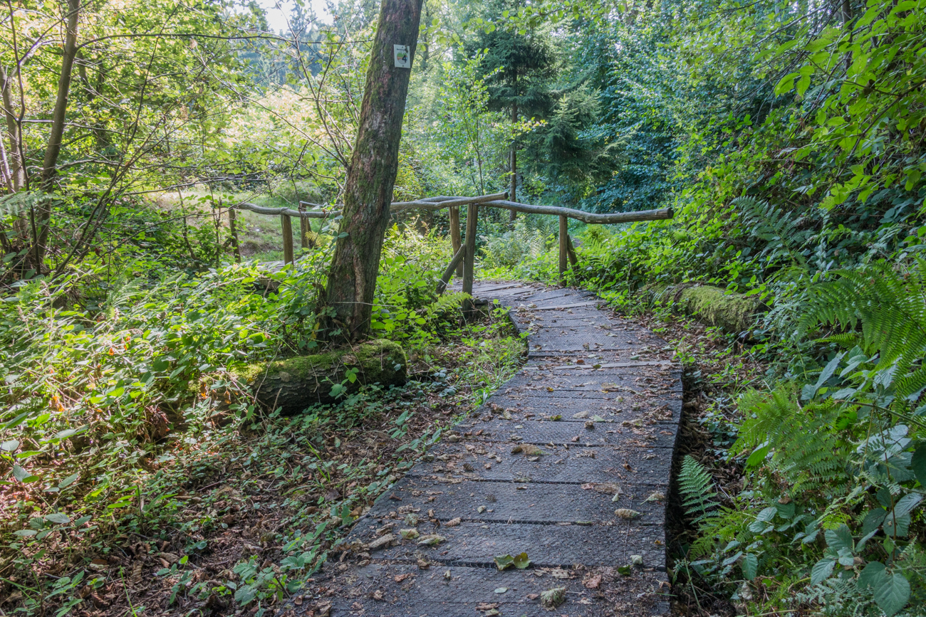 ... und Br&uuml;cken