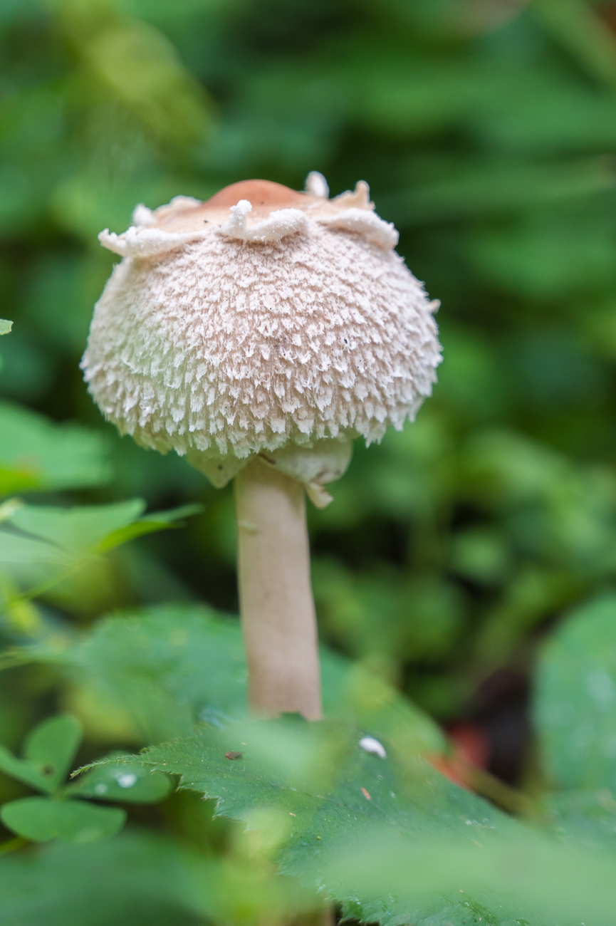 ... gibt es doch ...