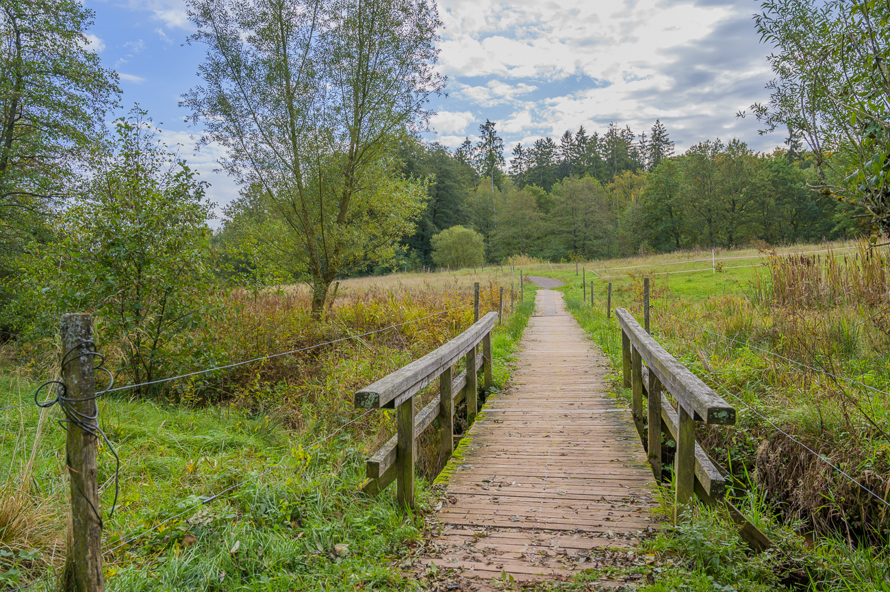 Br&uuml;cke zwischen Viehweiden