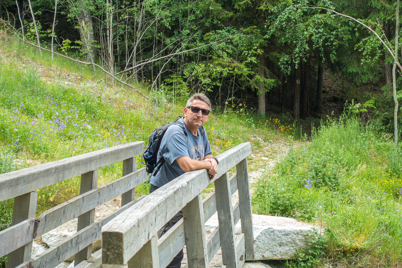 Auf dem "Holzweg" ;-)