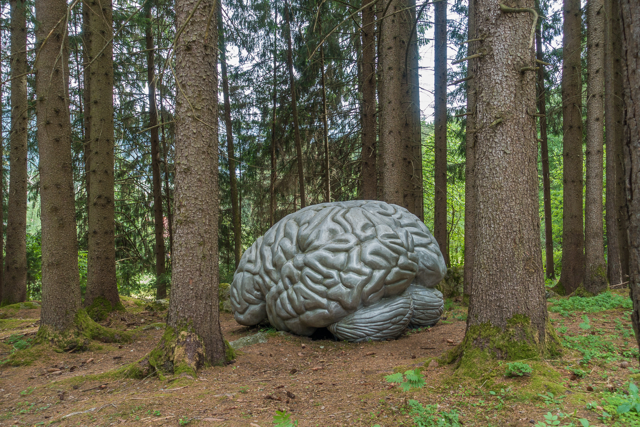 Hier liegt das Hirn rum, so mancher könnt's brauchen ;-)