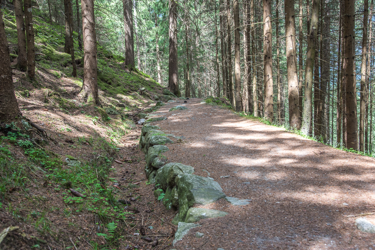 Links der alte Waal, leider auf dem größten Teil der Strecke nicht mehr vorhanden