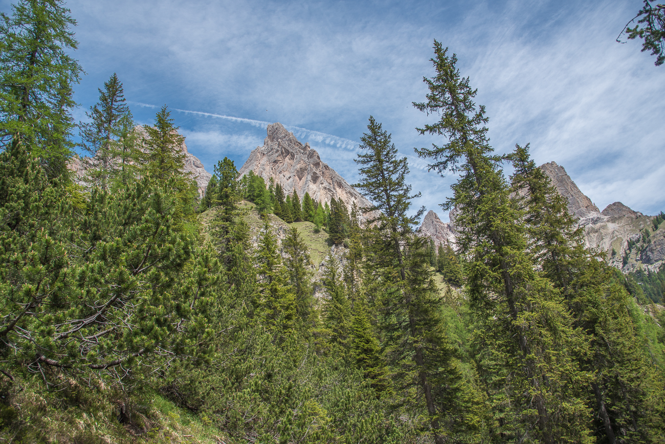 Bergmassiv hinterm Wald