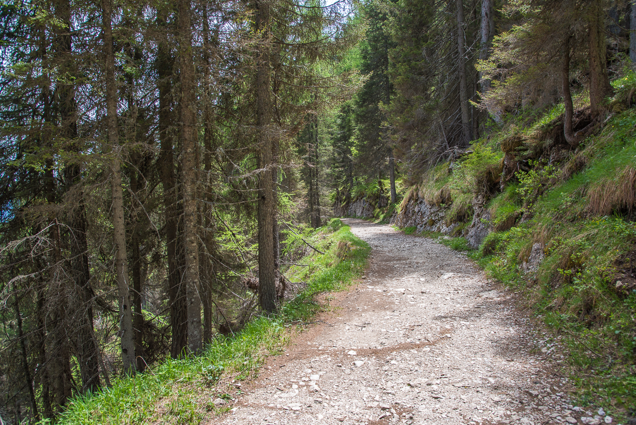 Noch ist der Wanderweg flach