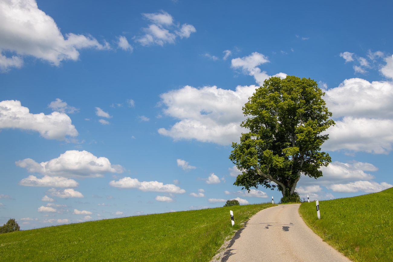 Allg&auml;u 2020 - Vorbereitungen