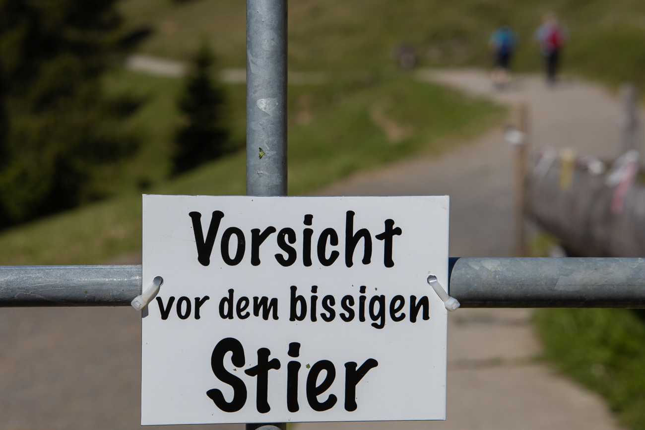 Zum Gl&uuml;ck war der nicht in Sicht ...