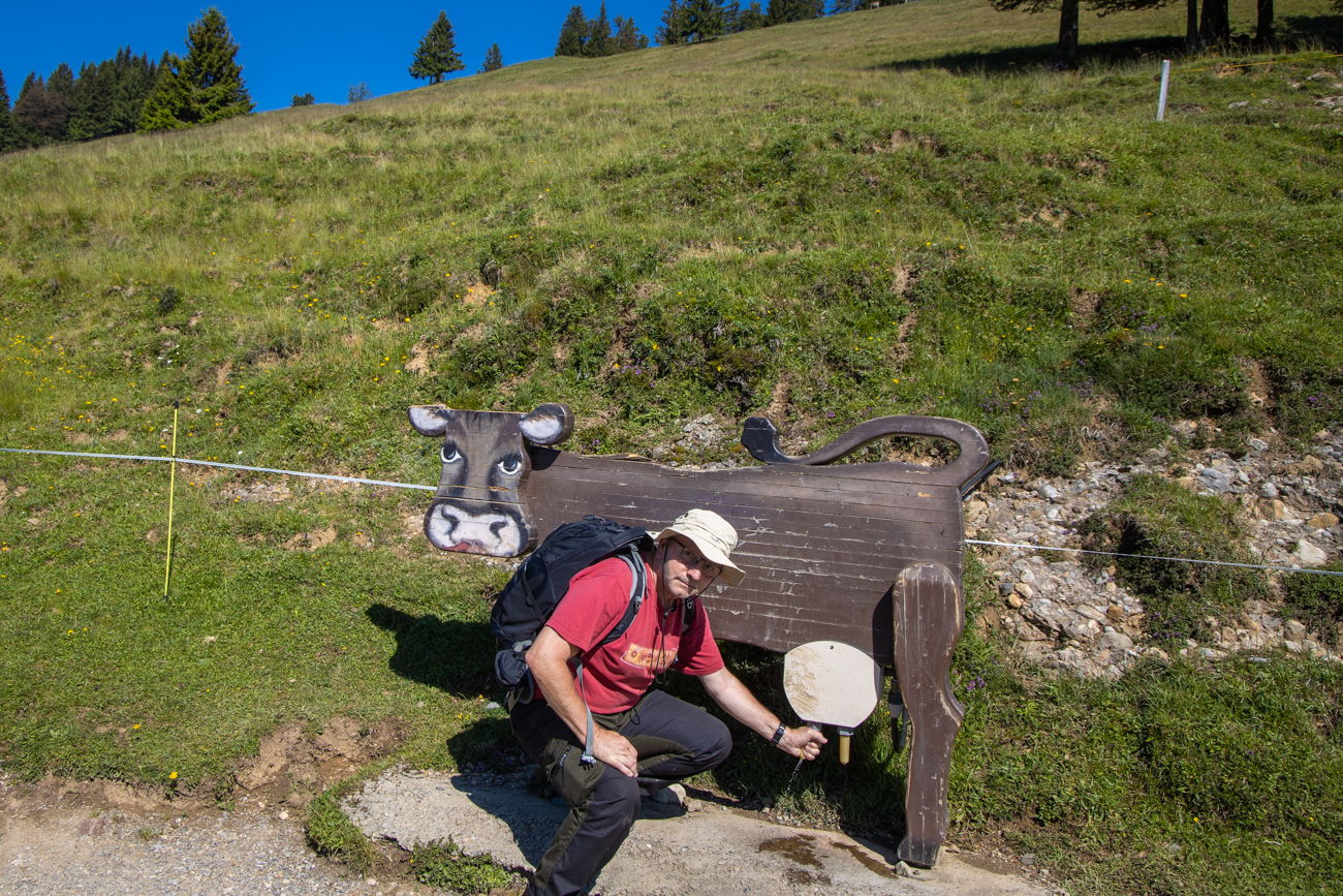 ... daf&uuml;r konnte man sich im Melken &uuml;ben ;-)
