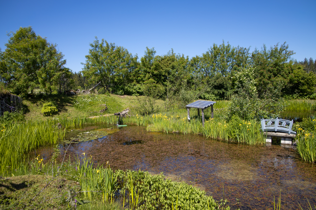 An der H&ouml;rmoos Alpe ...