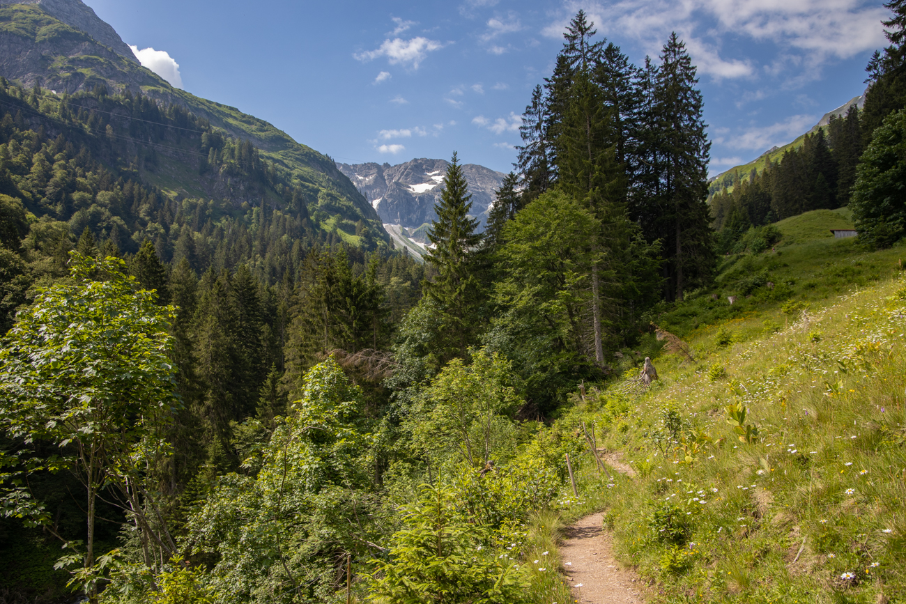 Abw&auml;rts in den Taleinschnitt