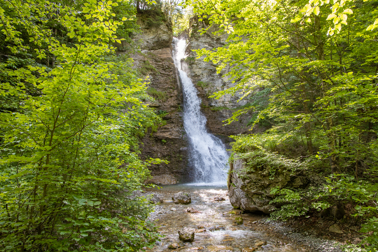 Einer von mehreren Wasserf&auml;llen im Wald
