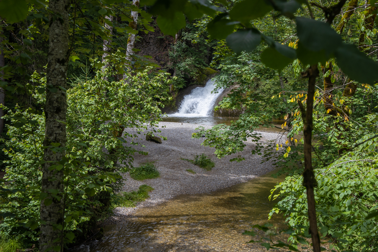 Die Eibelef&auml;lle