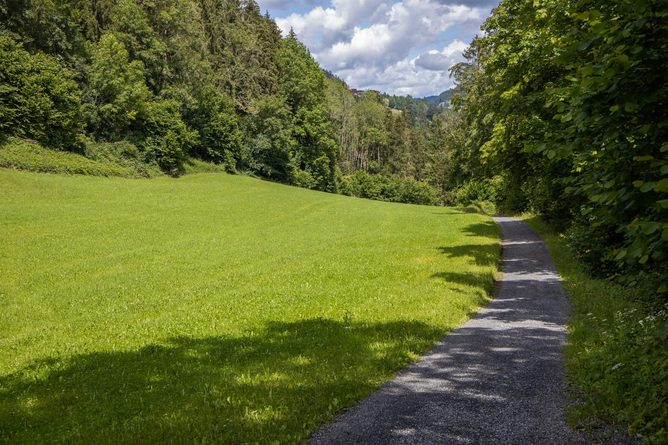 ... s&auml;umen den Weg