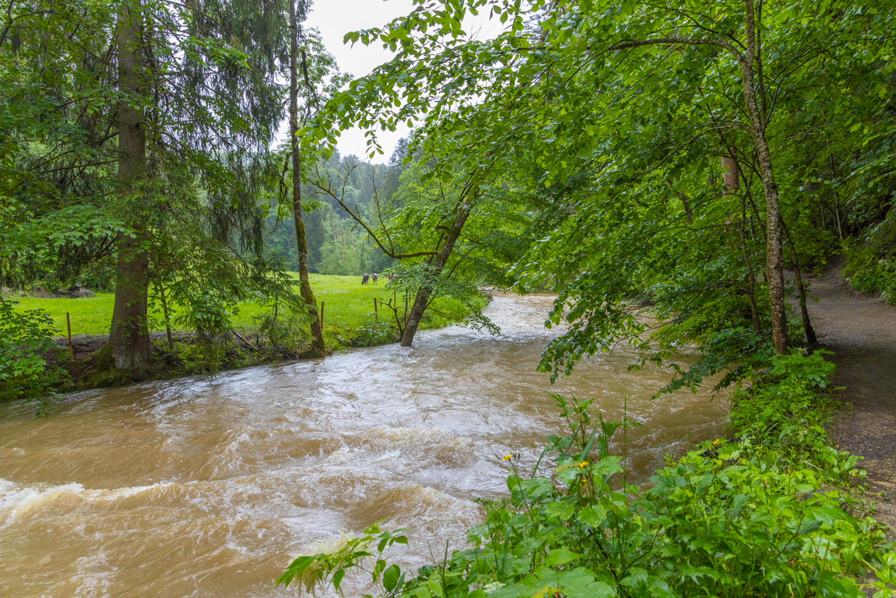 Auch der Fluss Argen ist gut regengen&auml;hrt