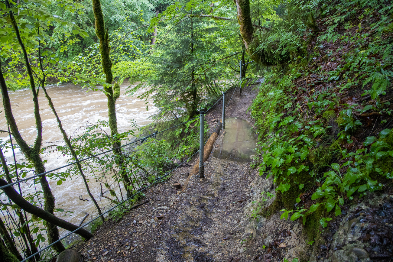 ... wo der Weg hinf&uuml;hrt