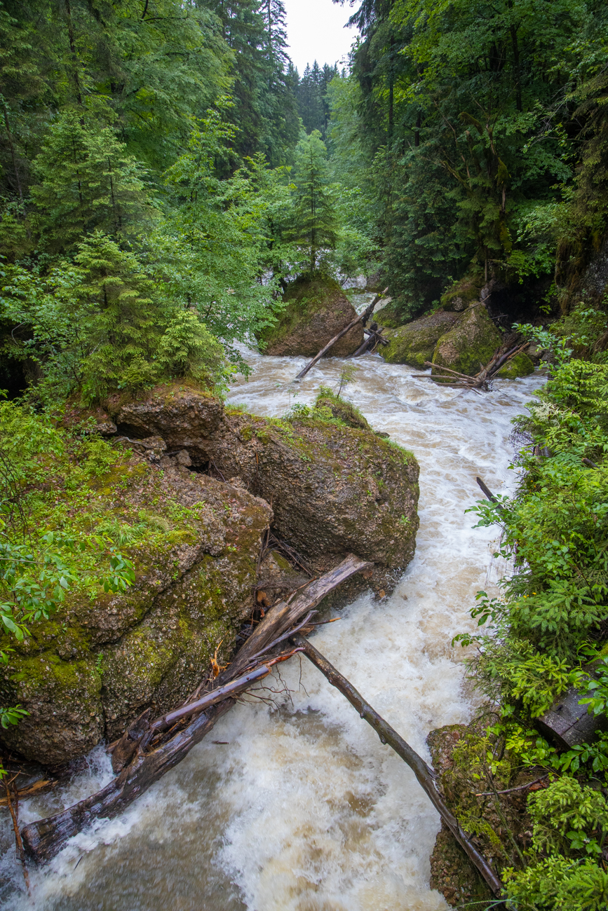 ... und unterhalb der Br&uuml;cke