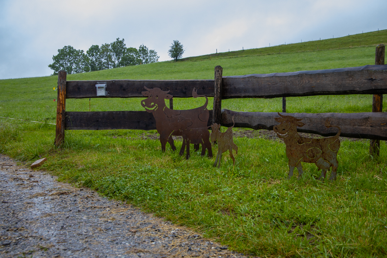 Diese K&uuml;he brauchen kein Gras ;-)