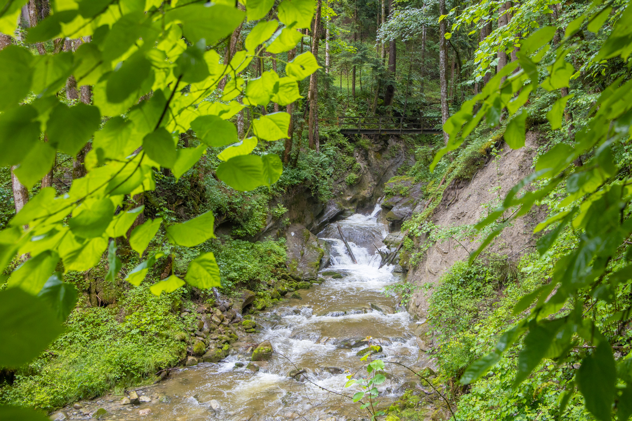 Wir n&auml;hern uns der Klamm