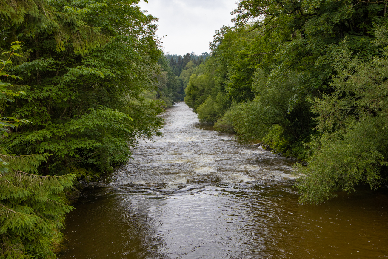 ... und Fl&uuml;sschen vorbei
