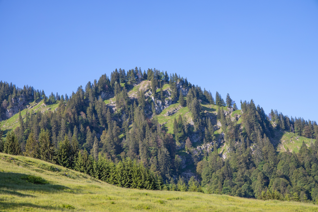 Aufnahme während der Fahrt
