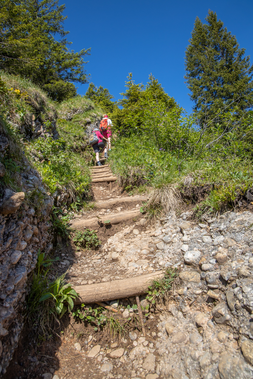 Die n&auml;chste "H&uuml;rde"