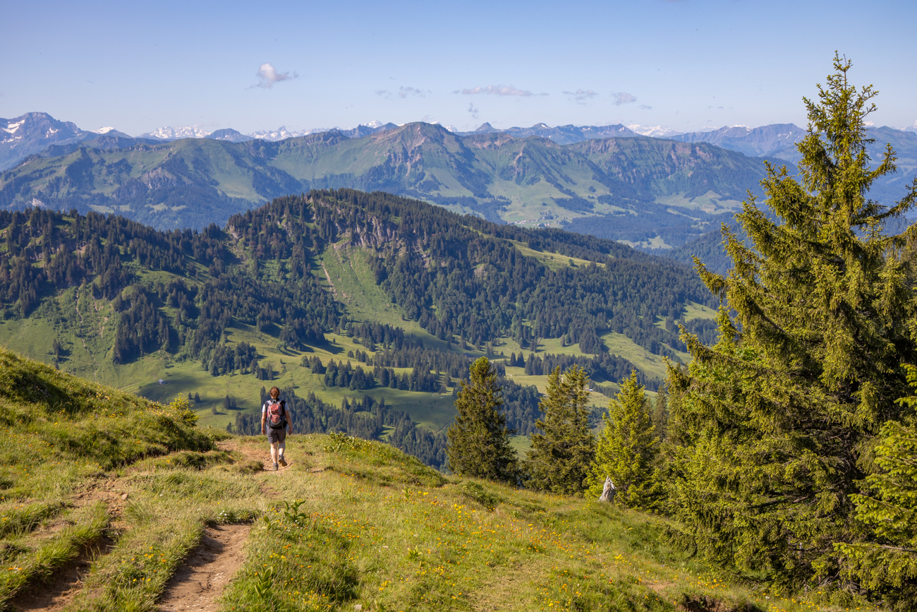 Nun gehen wir ein St&uuml;ck bergab
