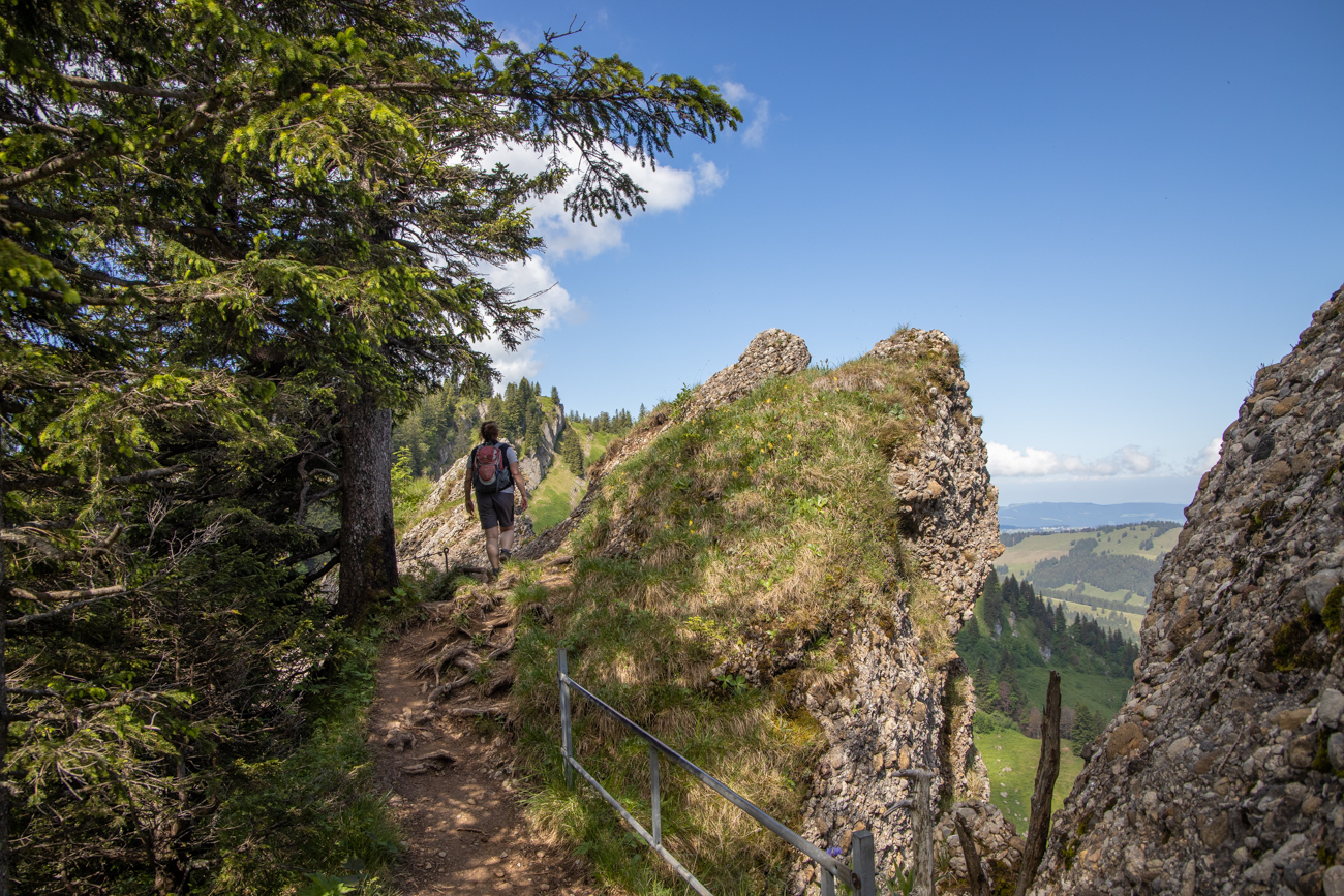 Nach rechts m&ouml;chte man nicht fallen